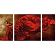 VÁSZONKÉP KOMPLEX 125X60CM SELYMES LÁGYSÁG