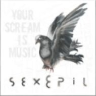Your scream is Music CD