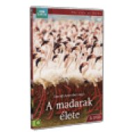 A madarak élete 3. DVD