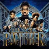 Black Panther: The Album (Fekete Párduc) (CD)
