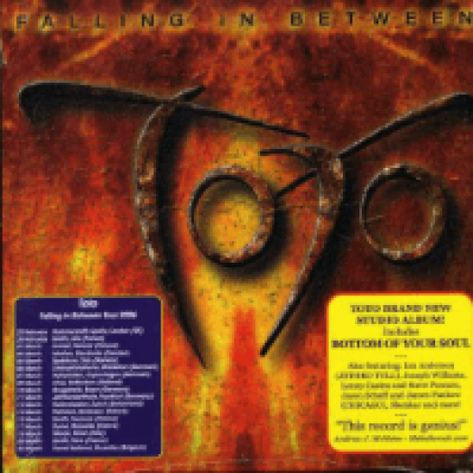 Falling In Between CD