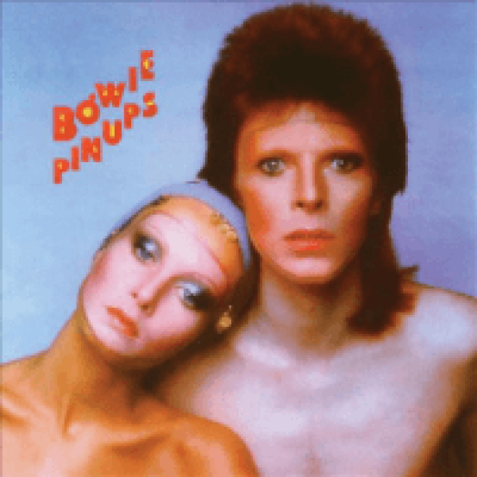 Pin Ups LP