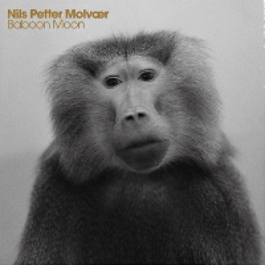 Baboon Moon CD