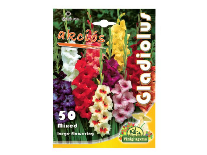 Gladiolus színkeverék