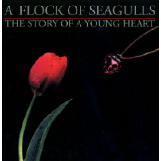 The Story of A Young Heart CD