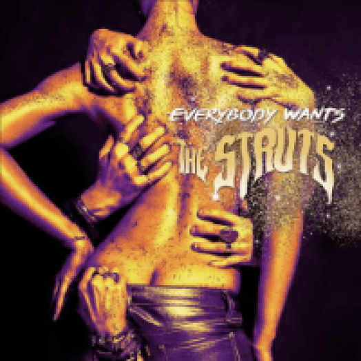 Everybody Wants CD