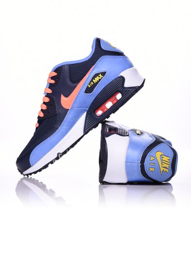 Nike Air Max Mesh (gs)