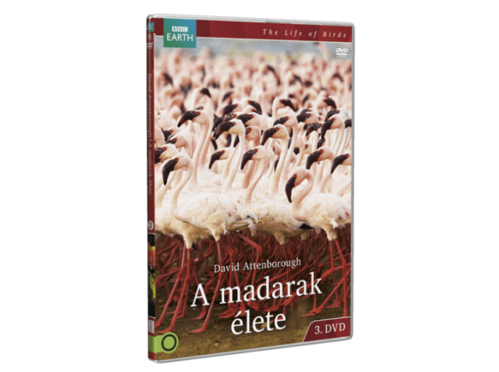 A madarak élete 3. DVD