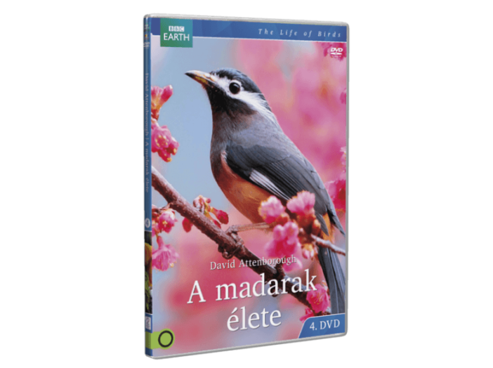A madarak élete 4. DVD