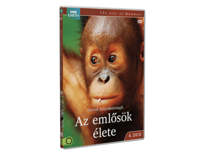 Az emlősök élete 4. DVD