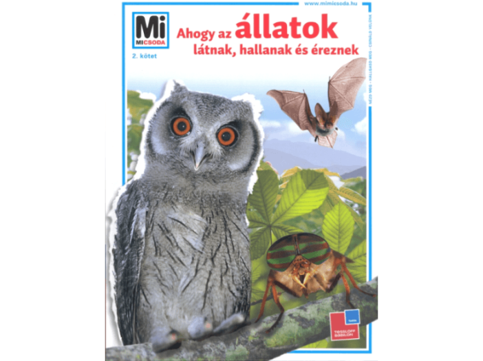 Ahogy az állatok látnak, hallanak és éreznek - Mi micsoda