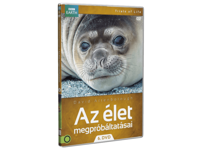 Az élet megpróbáltatásai 6. DVD