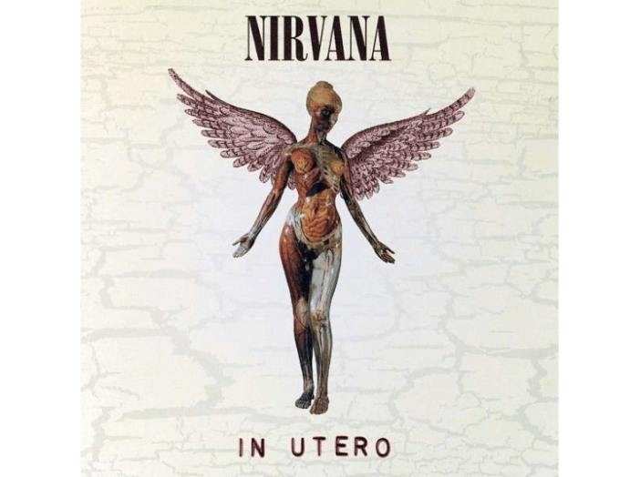 In Utero (20th Anniversary Edition) CD