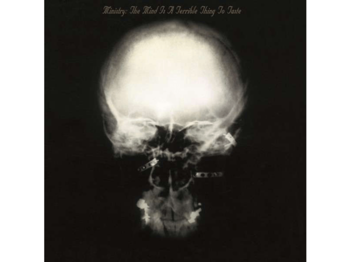 The Mind Is A Terrible Thing To Taste LP