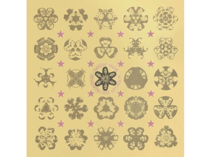 Reviewing The Situation LP