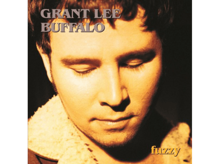 Fuzzy LP