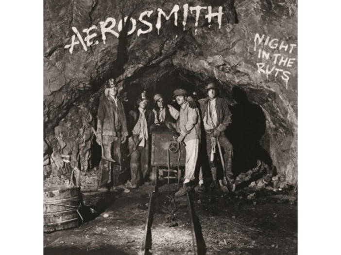 Night In The Ruts LP