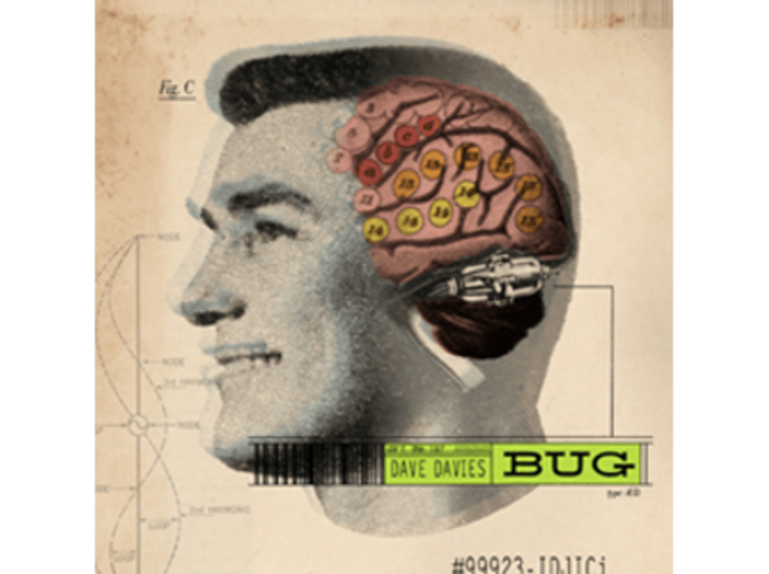 Bug CD