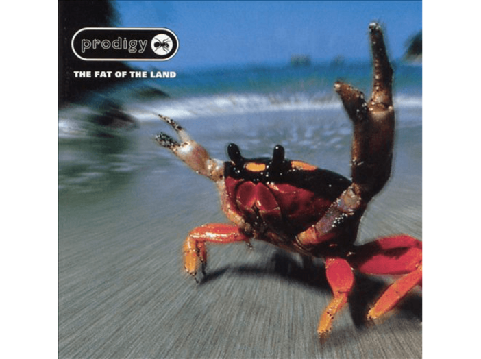 The Fat of the Land CD