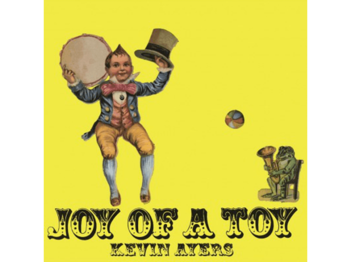 Joy Of A Toy LP