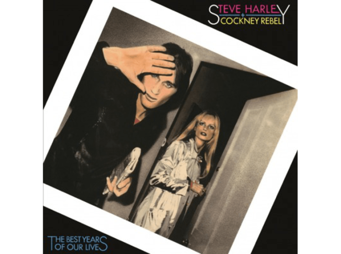 The Best Years Of Our Lives LP