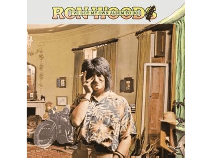 I've Got My Own Album To Do LP