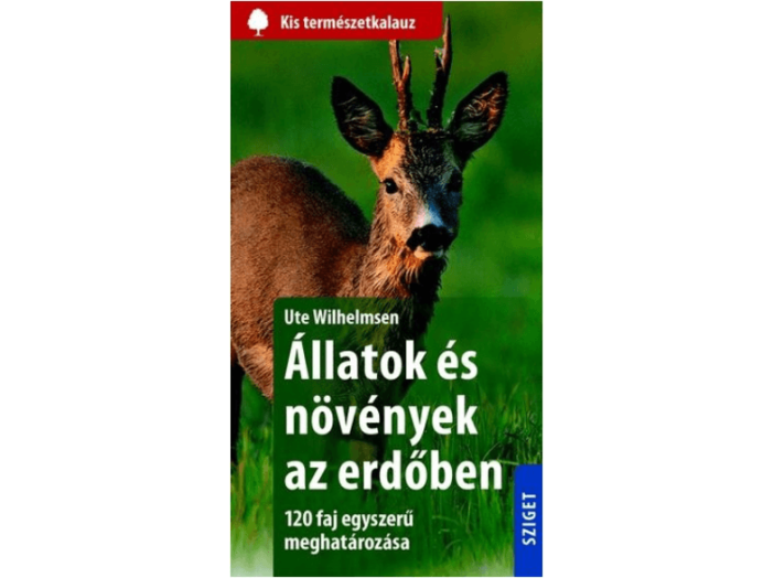 Állatok és növények az erdőben
