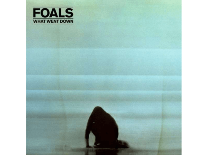 What Went Down (Deluxe Edition) CD+DVD