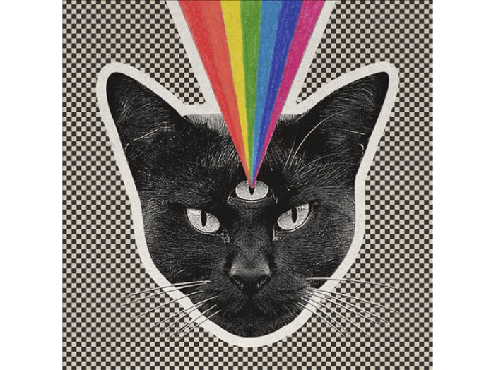 Black Cat CD