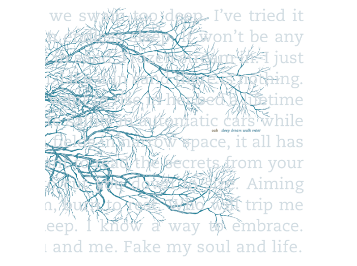 Sleep Dream Walk Enter LP