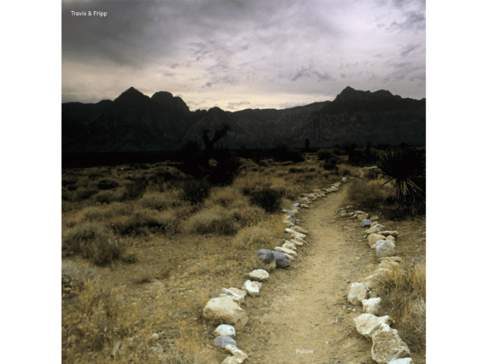 Follow (Limited Numbered Edition) LP