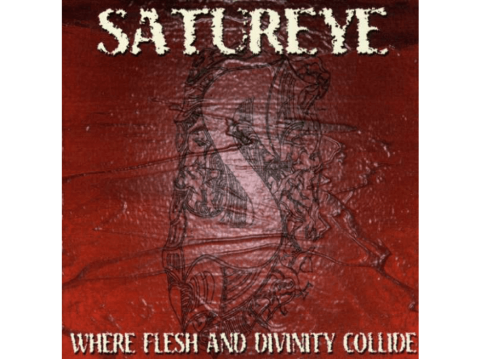 Where Flesh And Divinity Collide CD