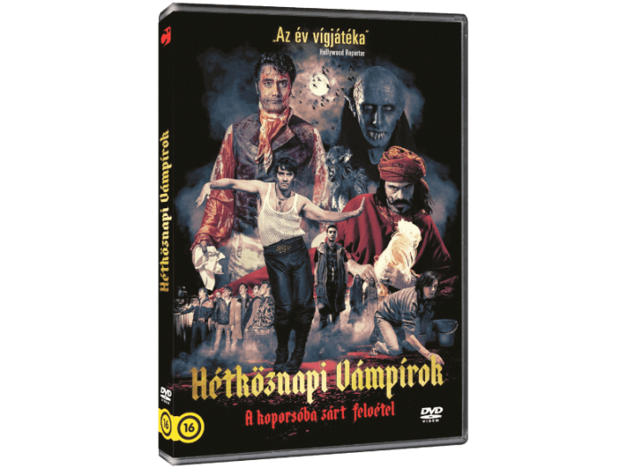 Hétköznapi vámpírok DVD