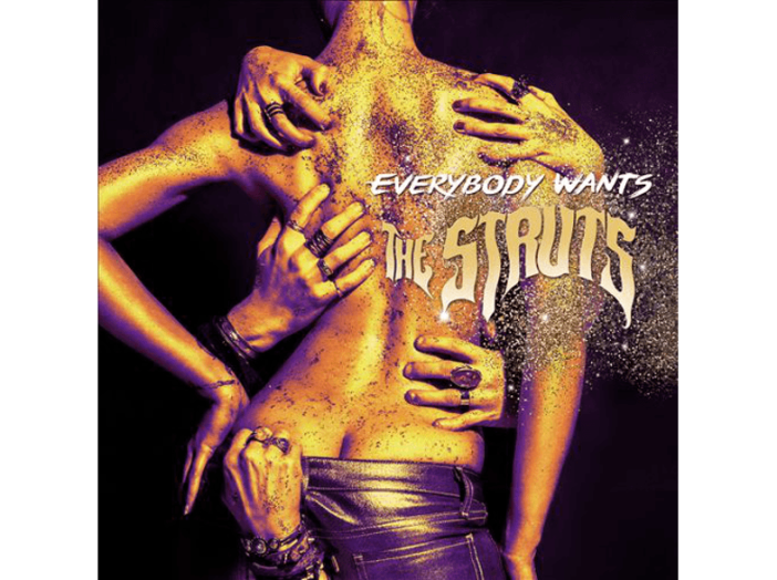 Everybody Wants CD