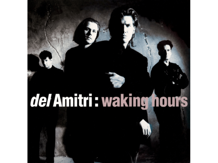 Waking Hours CD