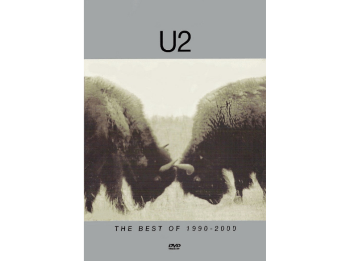 The Best Of 1990 - 2000 DVD