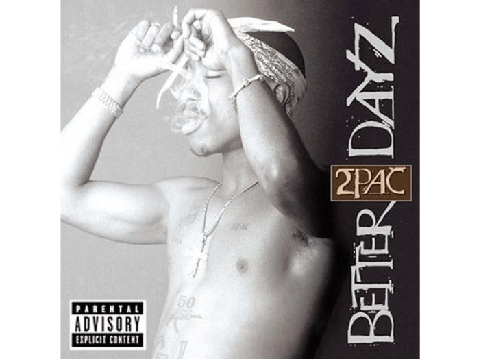 Better Dayz CD