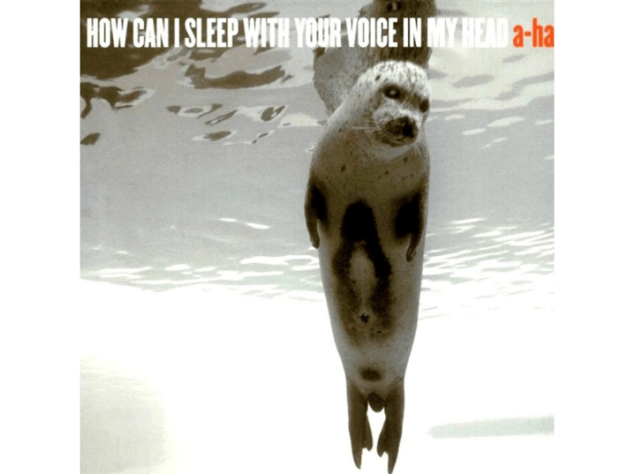 How Can I Sleep With Your Voice In My Head CD