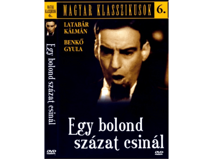 Egy bolond százat csinál DVD