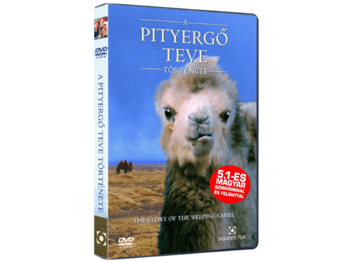 A pityergő teve története DVD