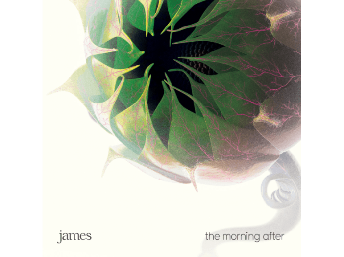 The Morning After CD