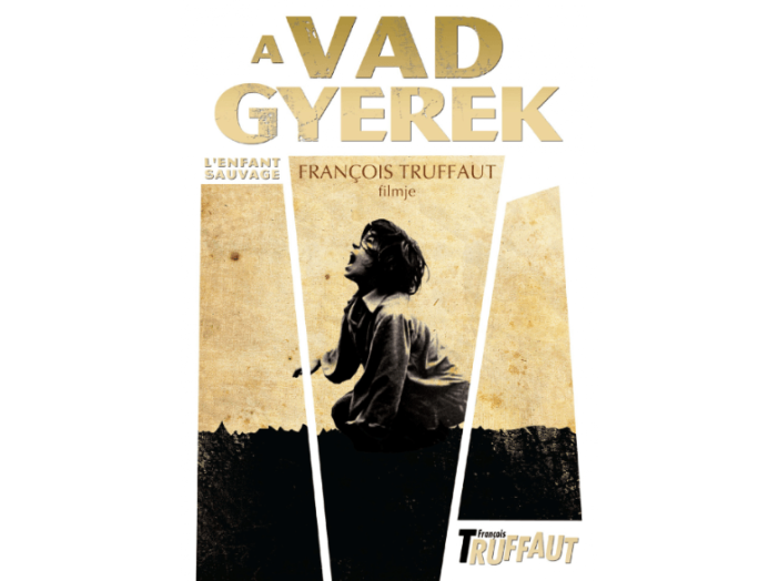 A vad gyerek DVD