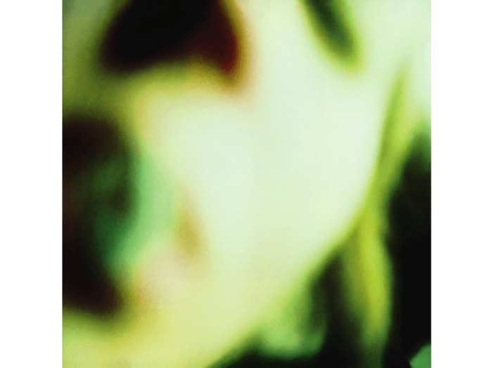 Pisces Iscariot CD