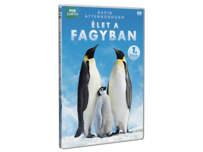 Élet a fagyban 1. DVD