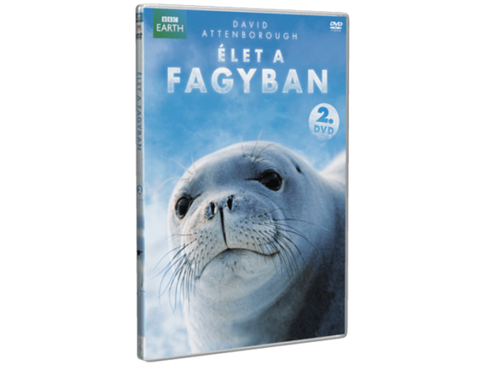 Élet a fagyban 2. DVD