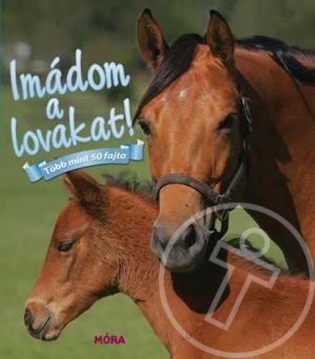 Imádom a lovakat!