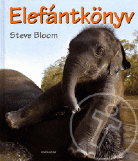 Elefántkönyv