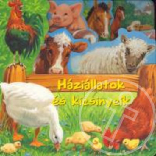 Háziállatok és kicsinyeik