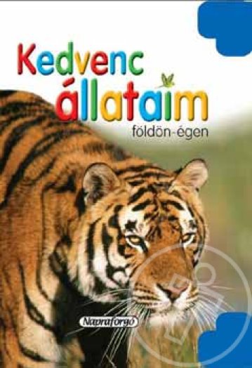 KEDVENC ÁLLATAIM FÖLDÖN-ÉGEN