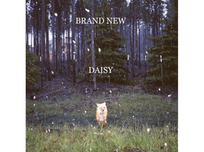 Daisy CD